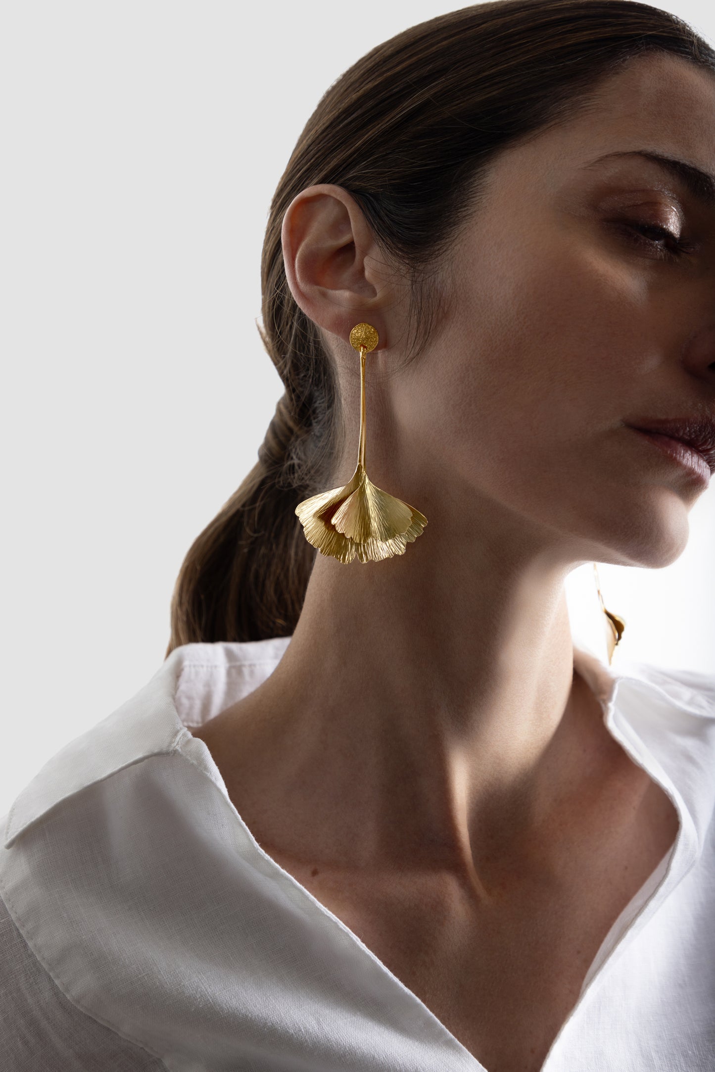 AROS GINKO DOBLE HOJA